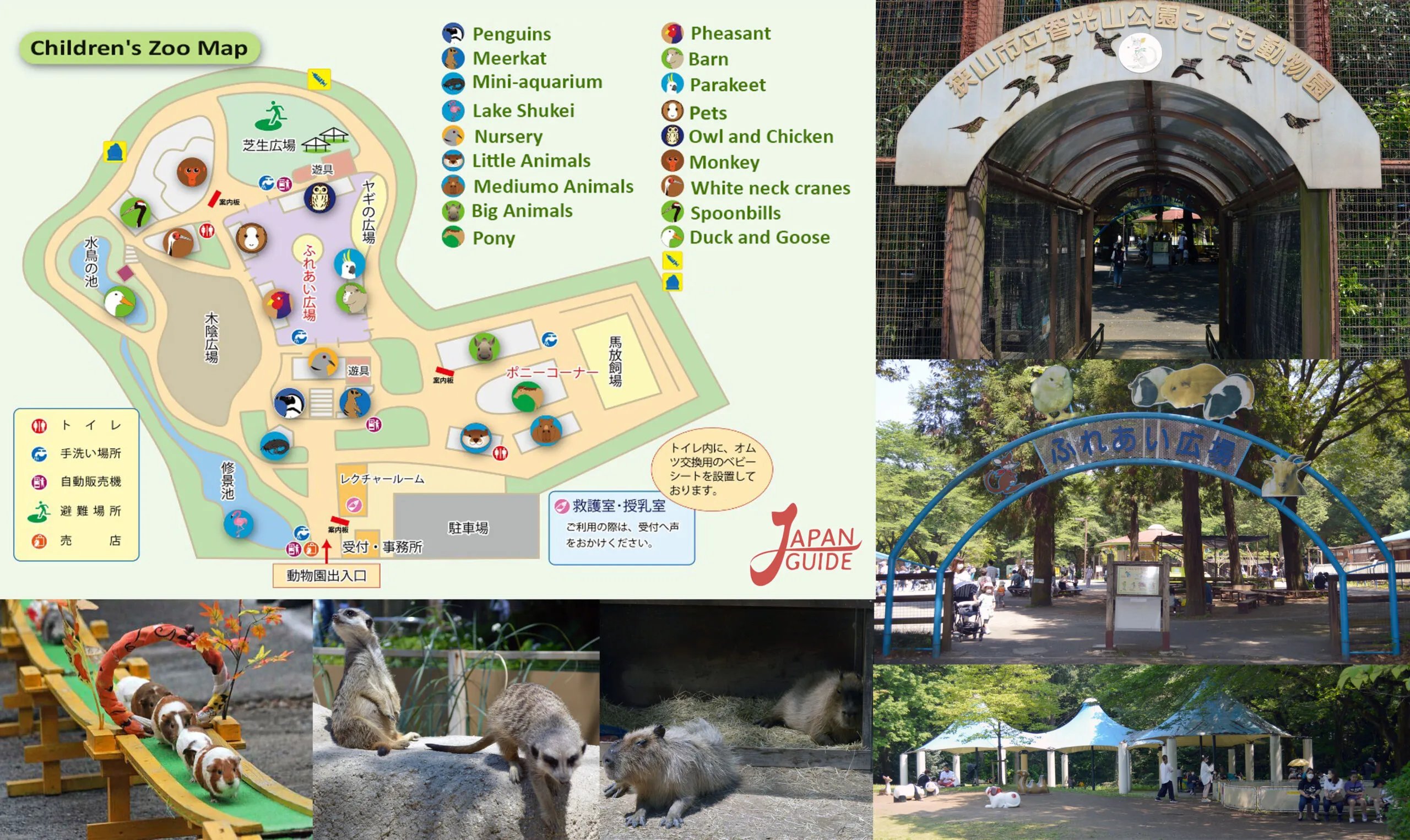 🌳 지광산 공원(치코잔 코엔)